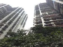 加州新牌坊 加州花园三房85万