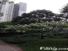 石坪桥 隆鑫国际二房95万