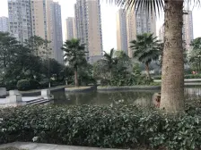 小区环境优美宁静,绿化高,空气好,交通便利,楼下就