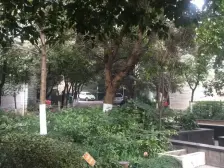 此房满两年,温馨舒适,户型方正,采光好