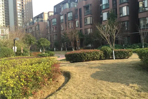 å½ä»£å½éè±å­