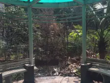 重庆公馆 4室2厅 南 北