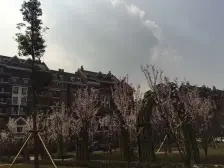 华宇摩天 1室0厅 东南