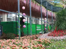 房子满两年,楼层好配套设施齐全