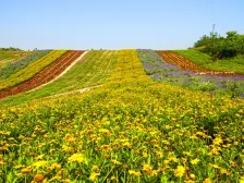 区、环境优美、适合老年人居住,或者避暑