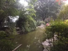 骏逸江南一楼 朝中庭 配套好 拎包入住 诚心卖