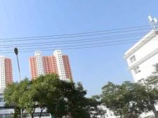 雁滩雁栖园 电梯高层 南北通透 小区人车分流 户型方正