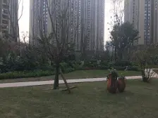 融侨 金辉城春上南滨三房236.9万