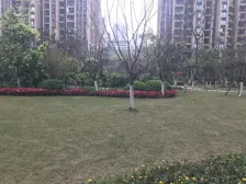 融侨 金辉城春上南滨四房190万