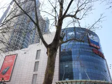 出小区门就是西苑公园隔壁南昌路丹尼斯 万达牡丹广场