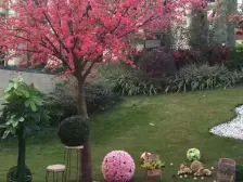 此房满五唯一,欠款少,中等楼层,视野好