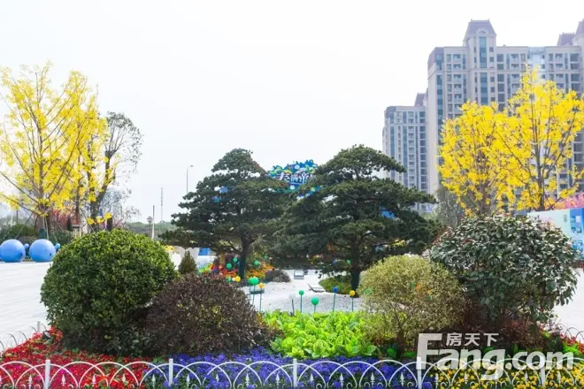 恒大帝景