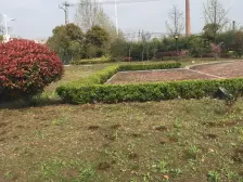 中创区挑高5.3米,民用水电,有燃气