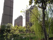 品质小区 人车分流 haohua毛坯装修