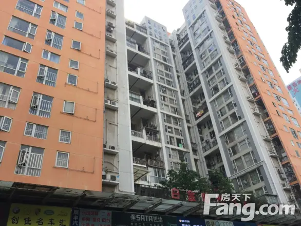 澎柏白金时代