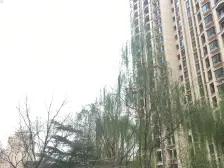 地铁口 天庆莱茵小镇 两居室 小复式