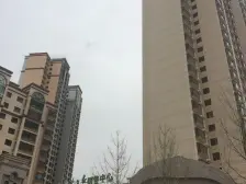 金川聚金雅园纯毛坯三室出售 中间楼层 南北通透