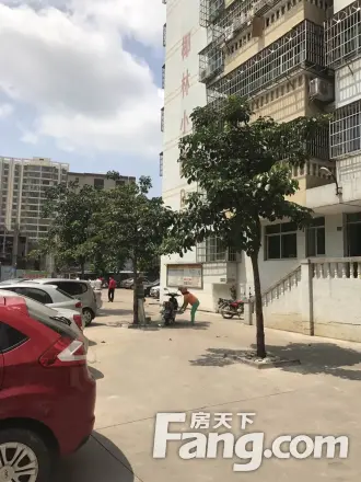 椰林小区(椰海大道)