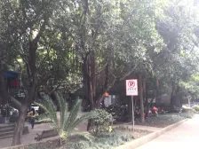 老城区 龙庭花园三房68万