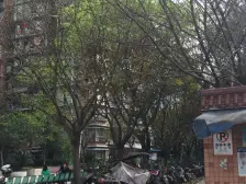 业主诚心出售小区原装电梯2房价格实惠