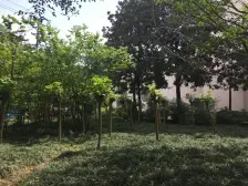 老城区 月光村(北碚)二房32.2万