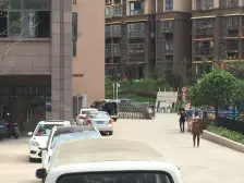 老城区 龙庭花园三房