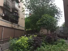 赠送私家大露台 正规三房双卫 户型方正