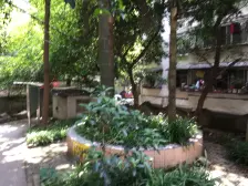 人民花园 5室2厅 南