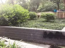 老城区 石岩村二房51万