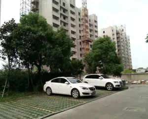 楼层好 全天光照 视野开阔 采光充足,南北通