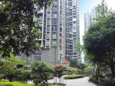 南坪 万达广场锋邸一房70万