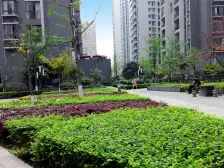 万达广场锋邸 2室1厅 东南