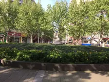 公园村 3室2厅 南