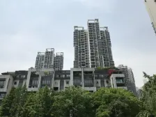 高新区 科学城 精装修一室一厅 业主急售 随时看房