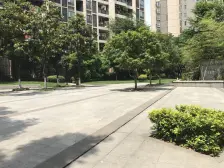 富力城蝶花岸 1室1厅 东