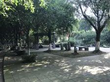 虎溪花园 4室2厅 南