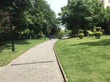 富力城蝶花岸 1室1厅 南