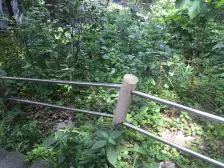 芦沟桥 1室1厅 南