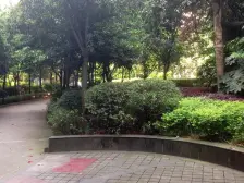 银海北极星 1室1厅 南