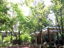 整租房,合租房,精装3房 诚心出租