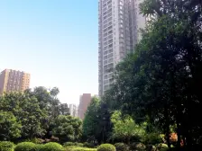 加州新牌坊 银海北极星三房