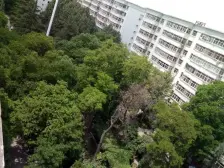 东湖小区 2室2厅 东南