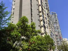 龙溪镇 依云雅筑五房97万