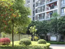 龙溪镇 依云雅筑二房65万