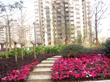 种央大姐 蔡家轻轨站旁 南北朝向 位置好 视野好