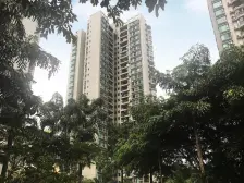 新城绿洲 2室1厅 东南