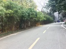 石桥铺 渝景新天地 精装修 大两房 证在手