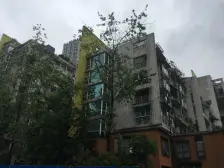 新光天地 新牌坊 旭日凤凰城 金科物业 纯洋房社区