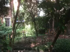 加州新牌坊 福鸿花园三房61.8万