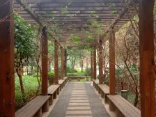 龙湖天街旁精装三房,拎包入住,近轻轨,蔡家森林公园